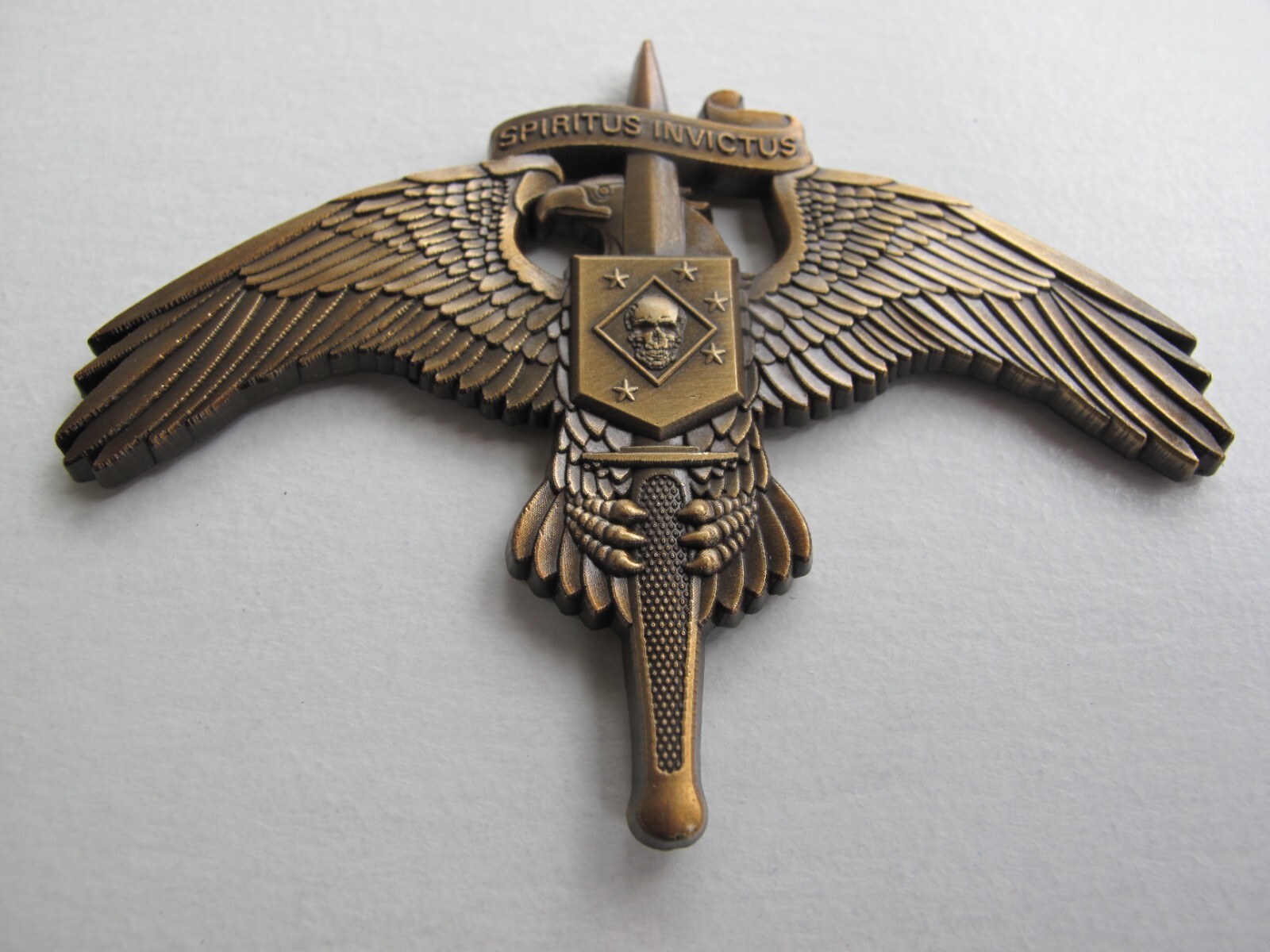 Raider SKULL on MarSoc Legacy Badge Pin US Marine Corps SOCOM Tactical Antiqued