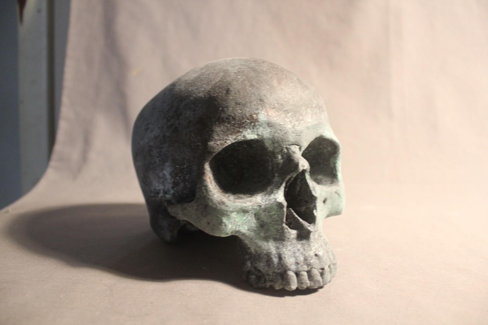 Human Skull Anatomical Medical Death Oddity Theater Doctor Funeral Postmortem