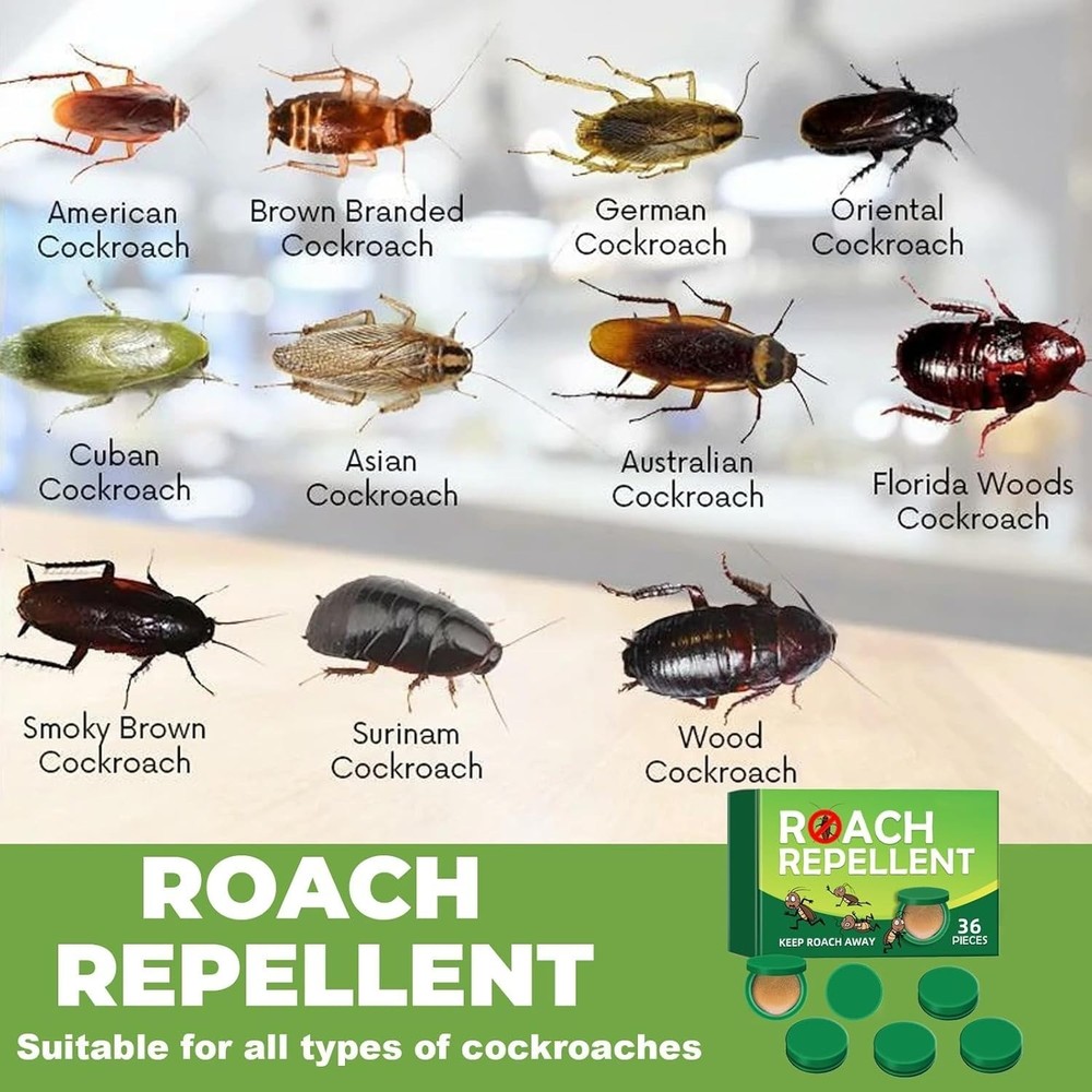 36PCS/Pack Roach Bait - Cockroach Killer Indoor Infestation