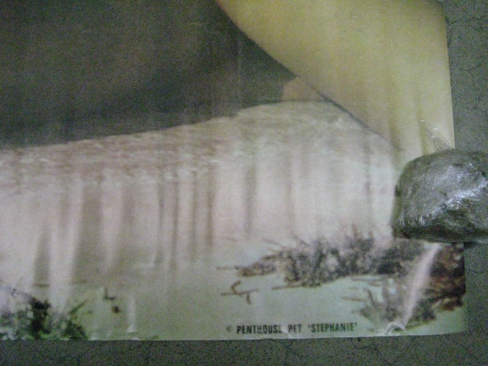 Stephani Penthouse pet Poster 1980's car garage man cave C242