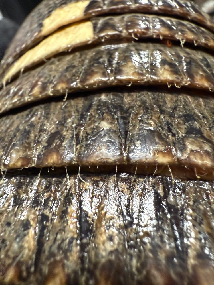 Charango Genuine Armadillo Armour Traditional Peruvian String Instrument