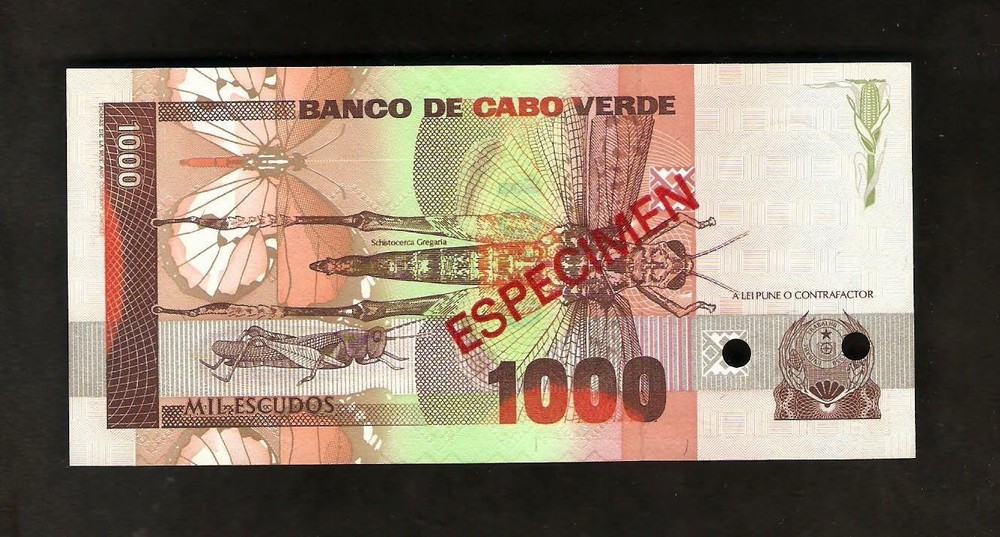 Cape Verde 1000 Escudos 1989 UNC Specimen