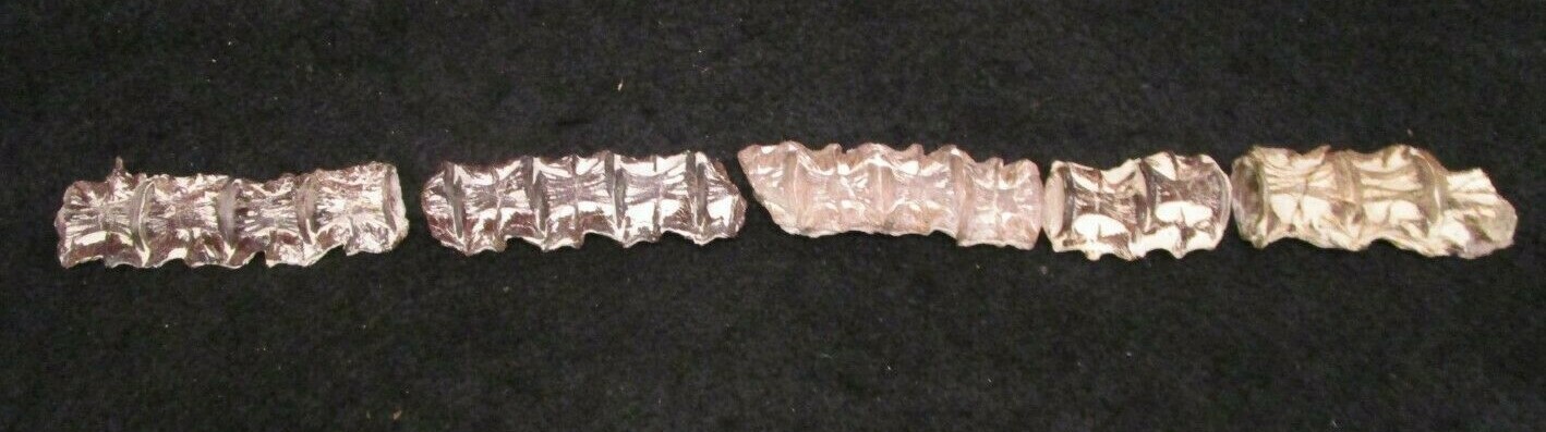* Cretaceous Cimolichtys Fossil Fish Spine 14 Vertebrae Kansas Niobrara