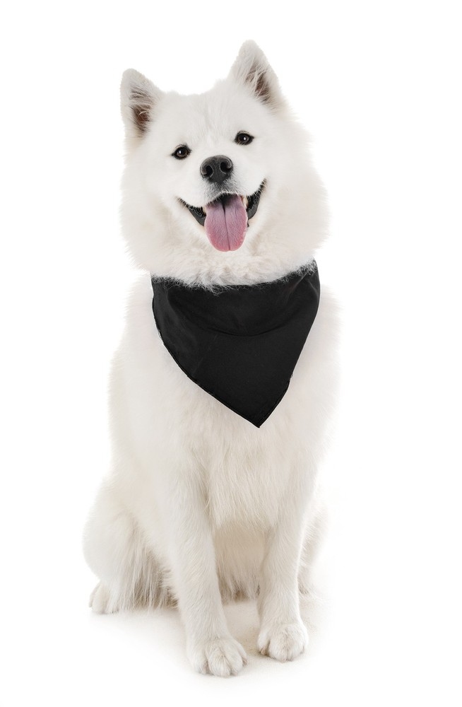 3 Pack Solid Polyester Triangle Dog Bandanas Lightweight Comfortable