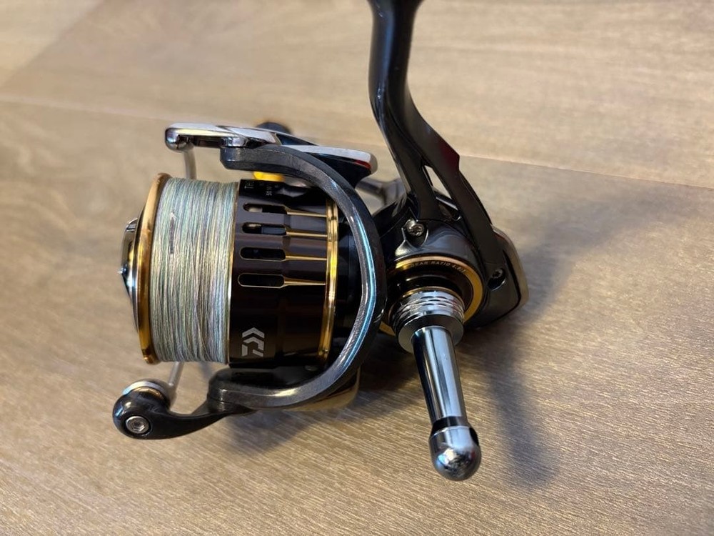 With Bonus Daiwa Theory 2506