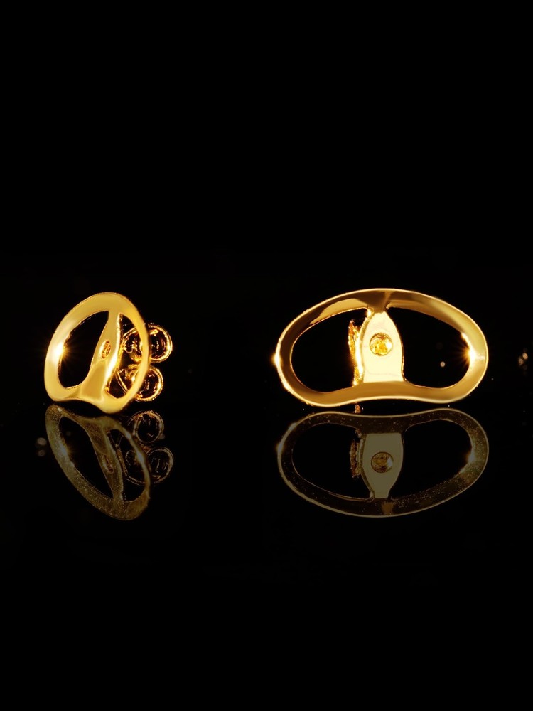 Earring Backs Replacements for Droopy Ears, Heavy Earrings Lifters, Locking E...
