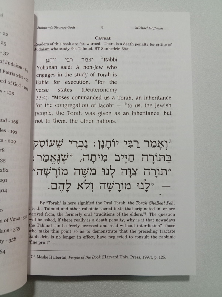 Judaism's Strange Gods by Michael Hoffman PB