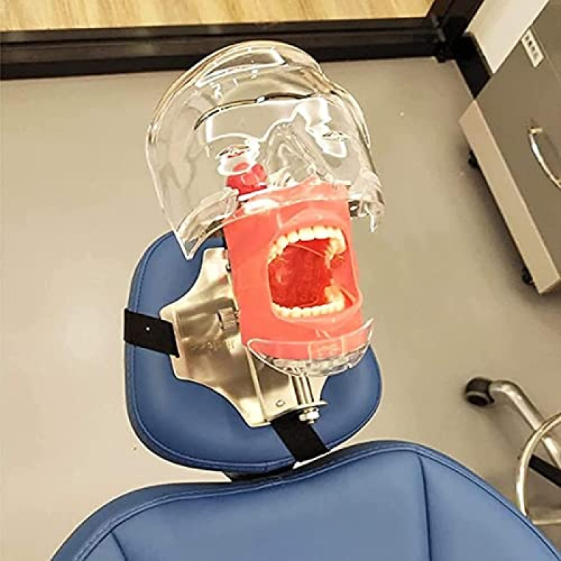 #USA Dental Simulator Mannequin Head Teeth Model Teaching Practicing Head Mold