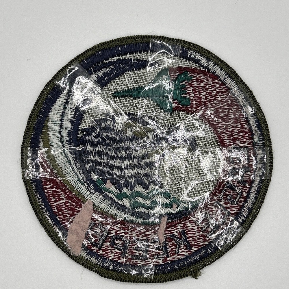 MR ALE Vintage Original Air Force USAF EAGLE KEEPER Embroidered Patch P231