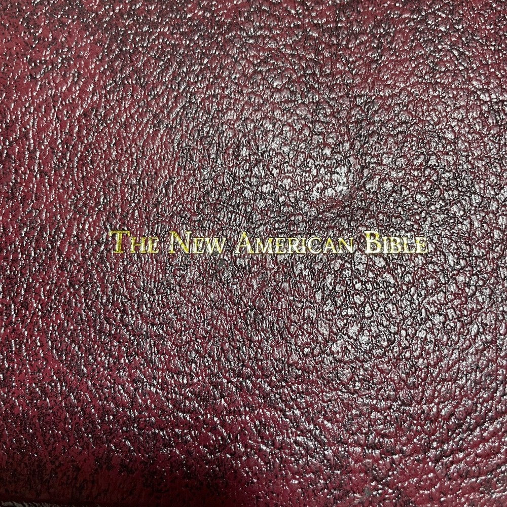 Bible Fireside Study Edition (some markings) Leather bound