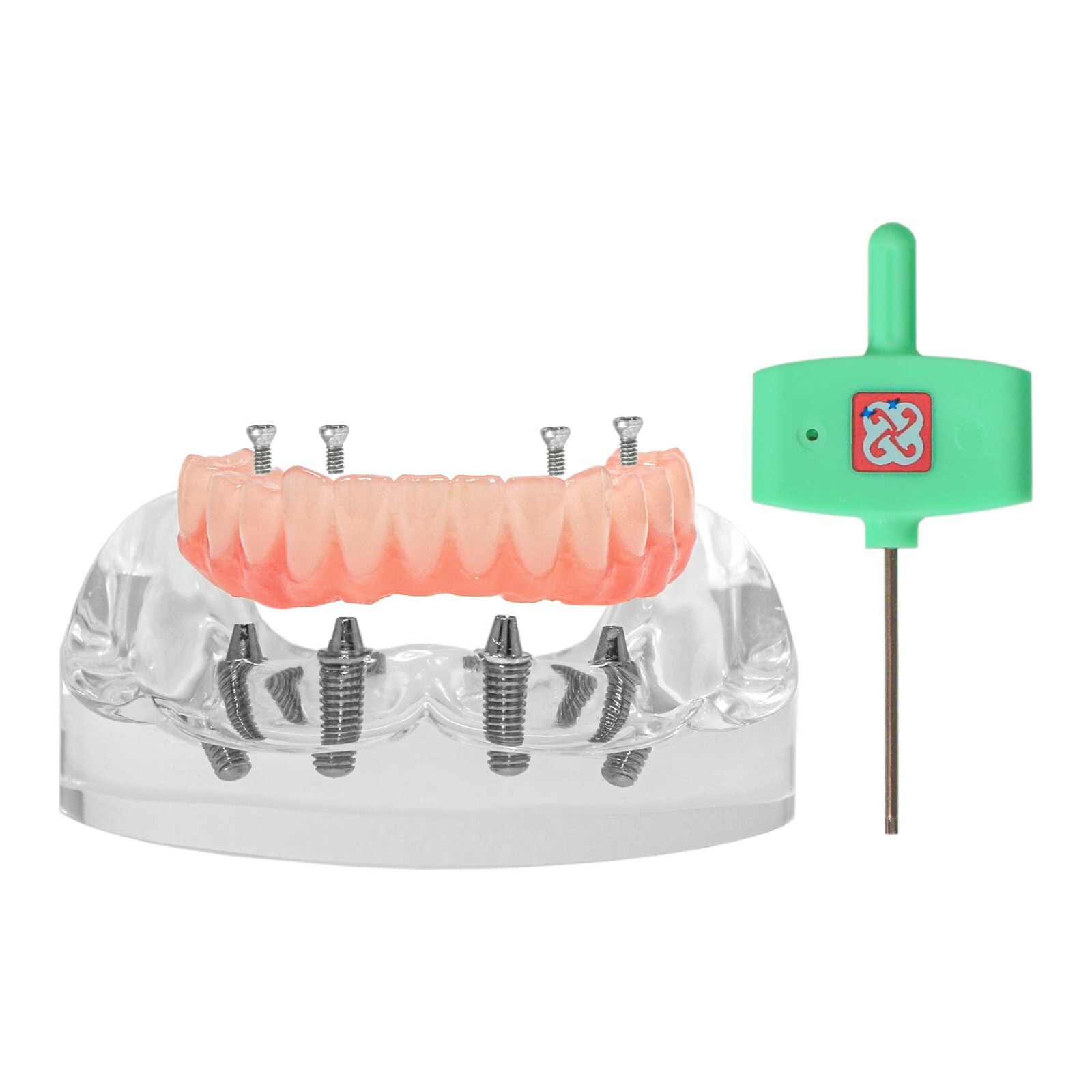 Dental Implant Typodont Teeth Restoration Model Series Overdenture Practice Demo