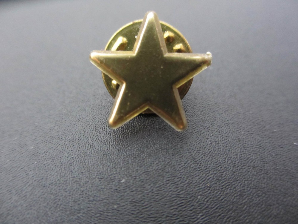 GOLD TONE STAR LOGO LAPEL HAT PIN