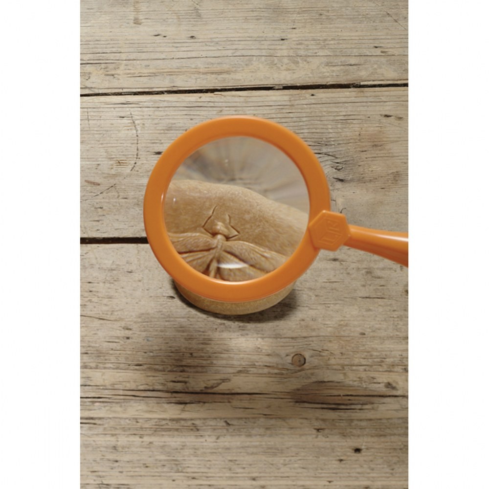 Yellow Door Play & Explore Bugs