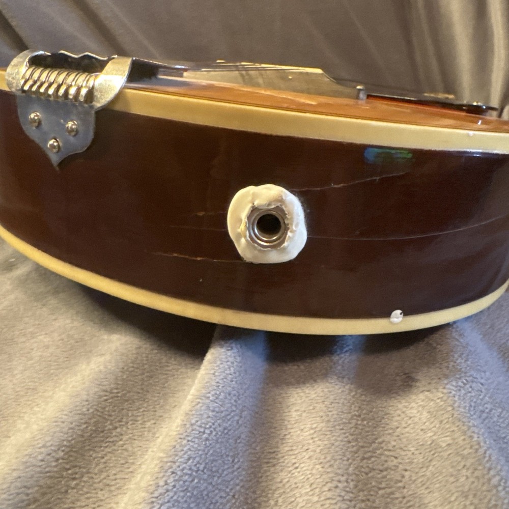 60’s70’s Norma Electric Mandolin