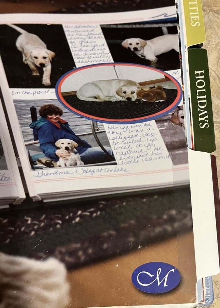 Creative Memories Page Patterns In Binders Start Smart Booklet Scrapbook