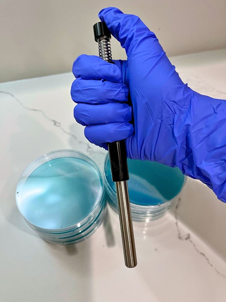 Agar Punch for Transferring Perfect Samples