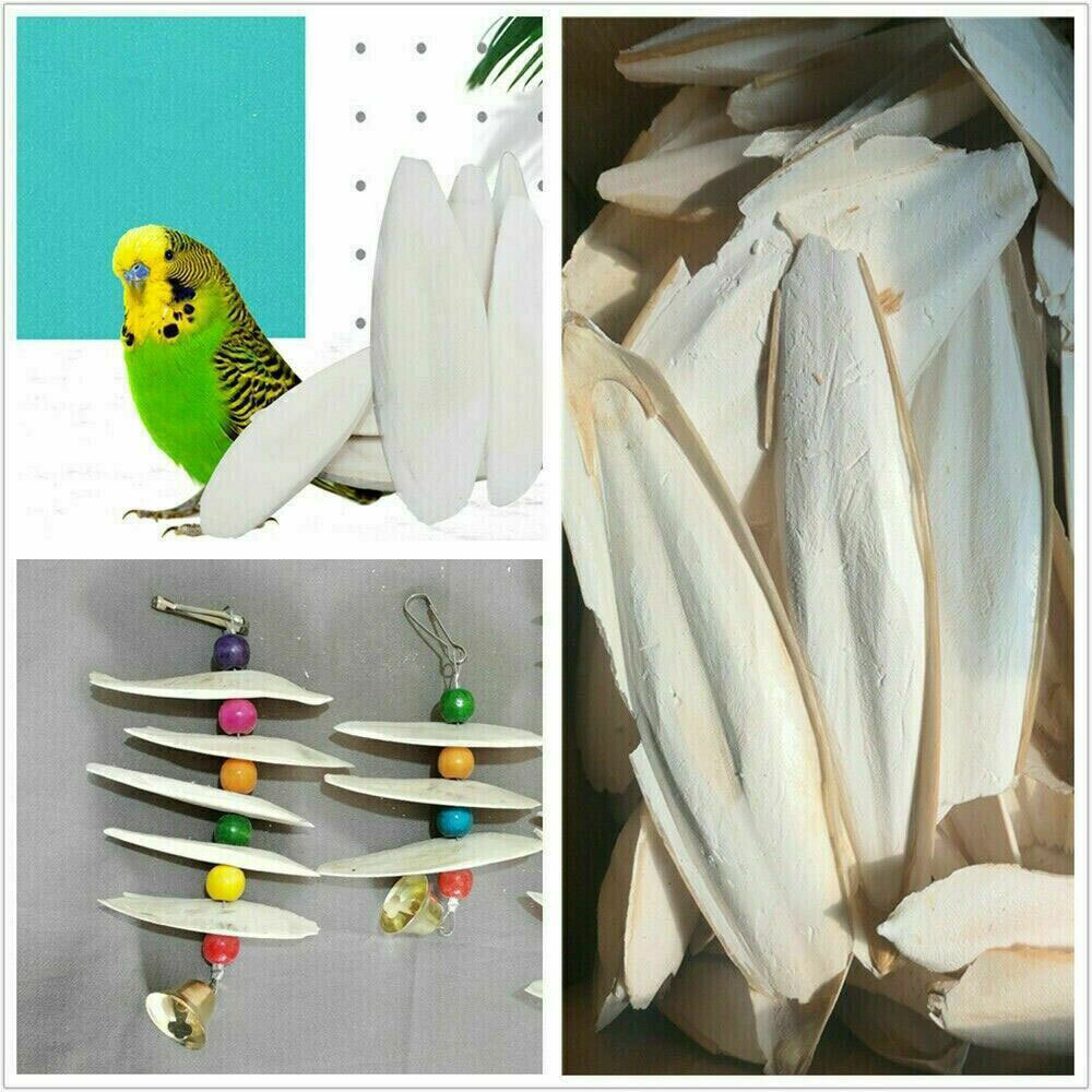 10/20PC Cuttlebone Cuttlefish Bone Sepia Cuttle Fish Pet Bird Food Calcium set^
