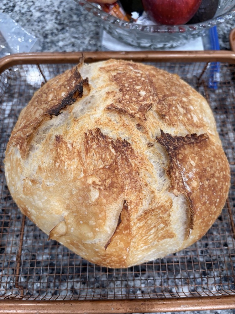 Dried Sourdough Starter with Instructions