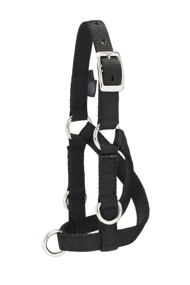 Sheep & Goat Training Halter, Small, Black
