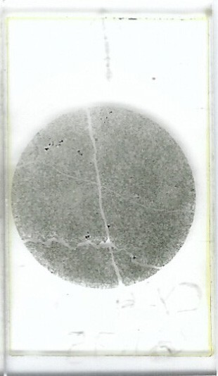 Thin-section Mount from CCSP Hole CY-4 Petrographic Microscope Slide CY-4-61.75