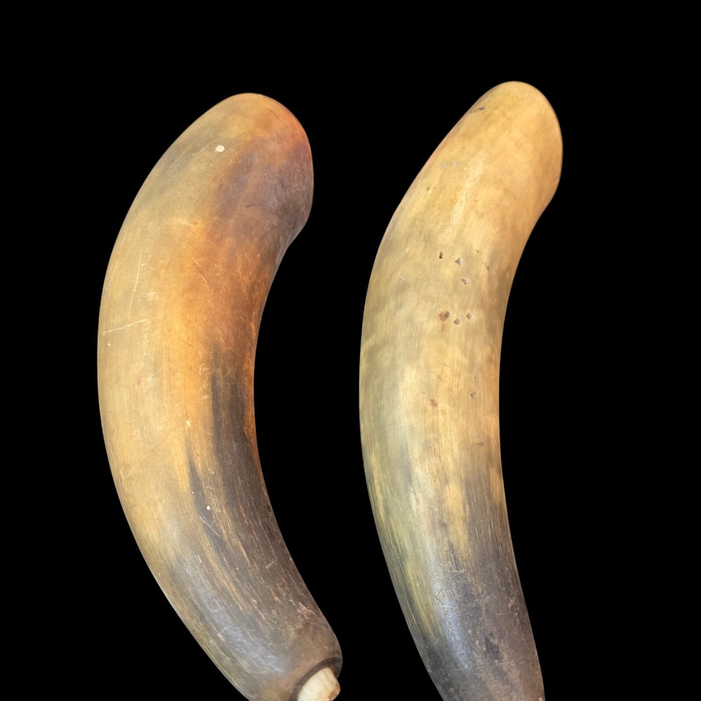 Antique Powder Horns