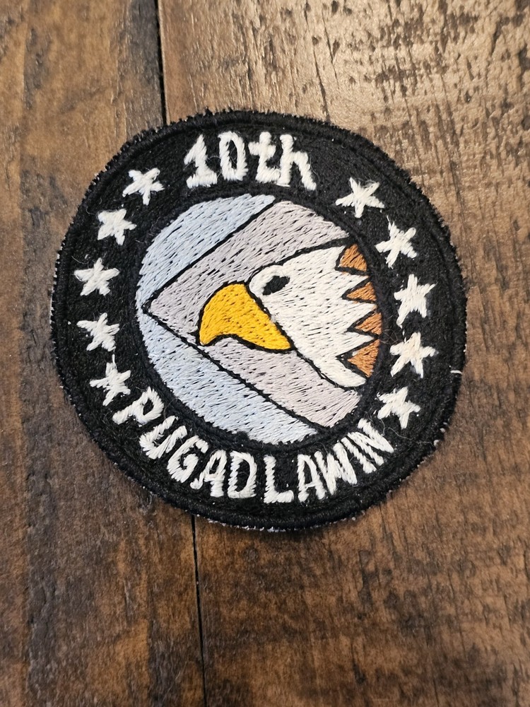 1950s 60s USAF Air Force 10th Fighter Squadron Patch L@@K!!!