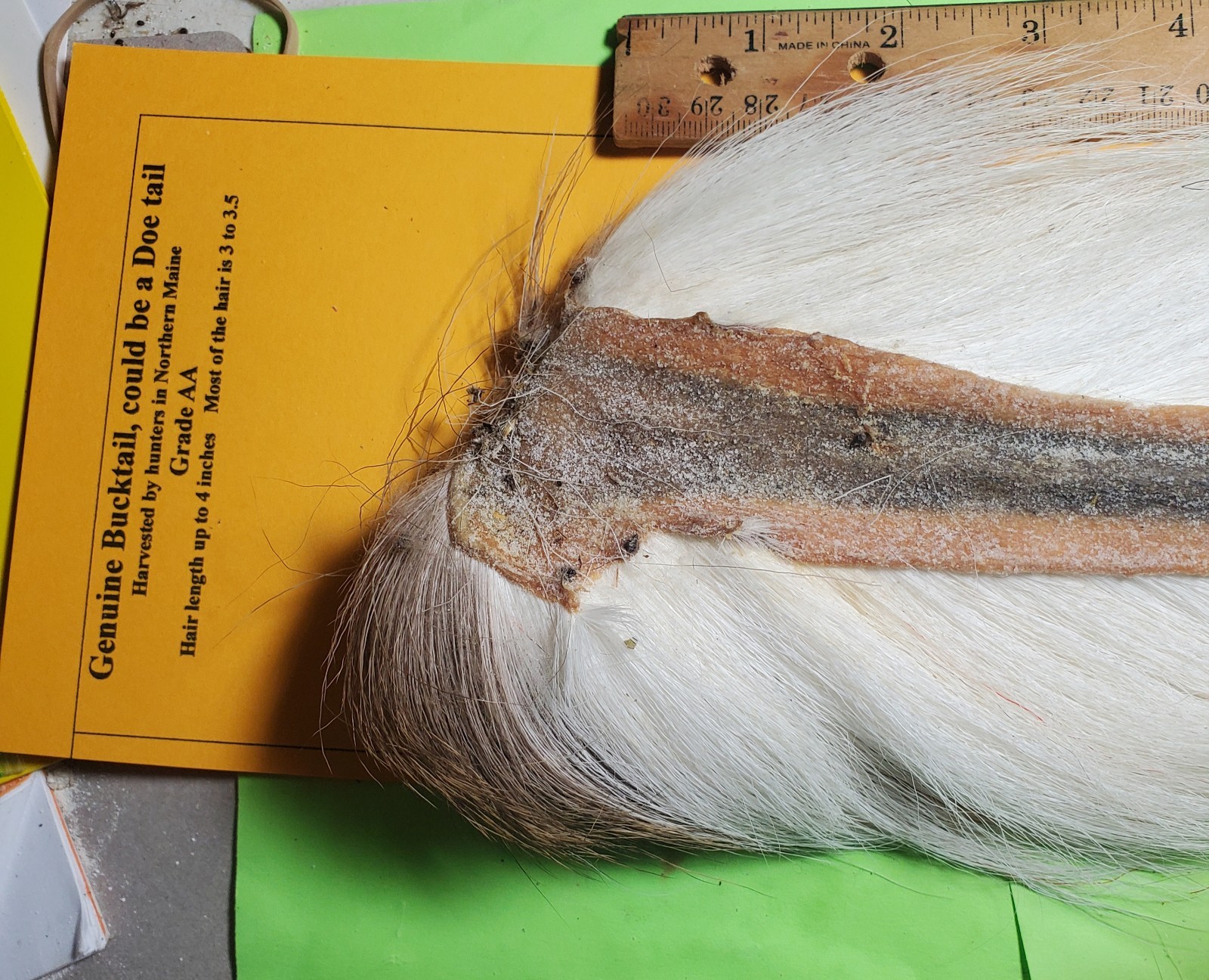 4x Bucktail- Natural White - 4 Inch Hair