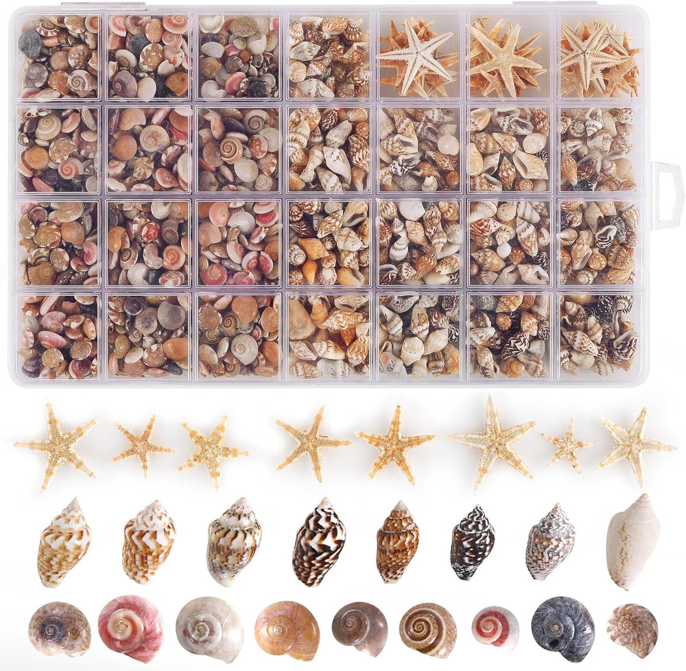60Pcs Tiny Starfish 1800 Pcs Tiny Mini Small Sea Shells for Crafting Spiral Conc