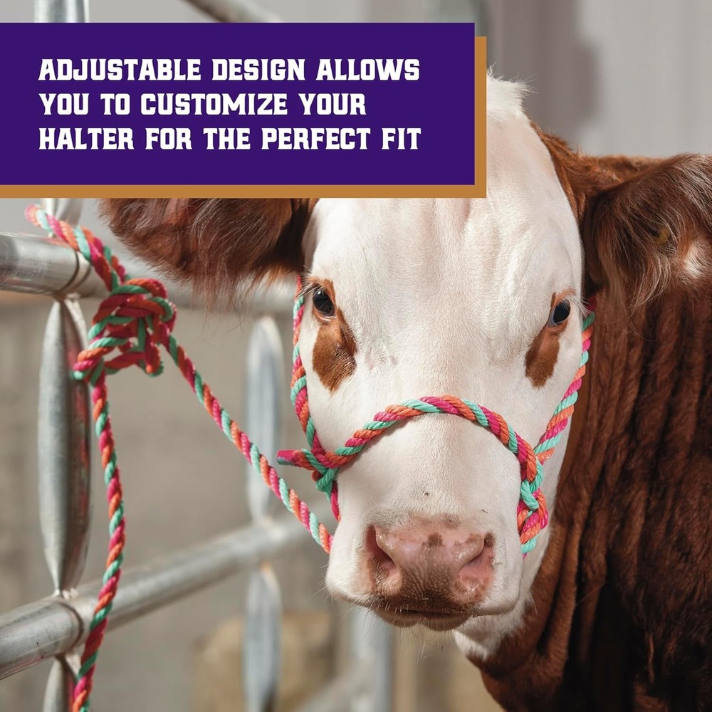 braided poly rope livestock cattle halter adjustable