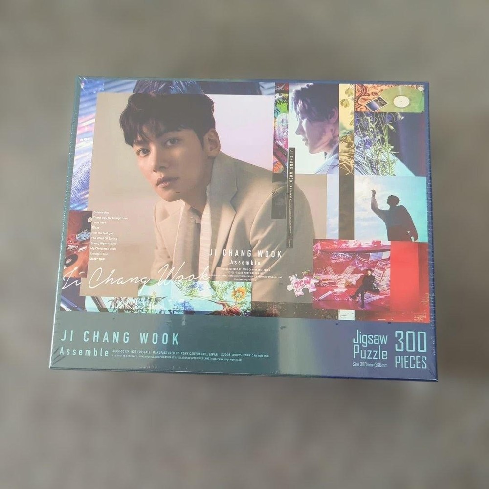 JI CHANG WOOK Jigsaw Puzzle 300 Pieces