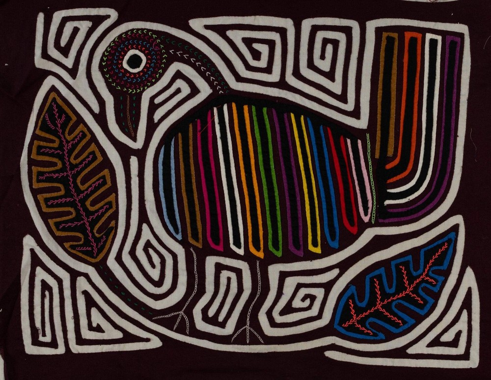 Burgundy And White Rainforest Bird Mola