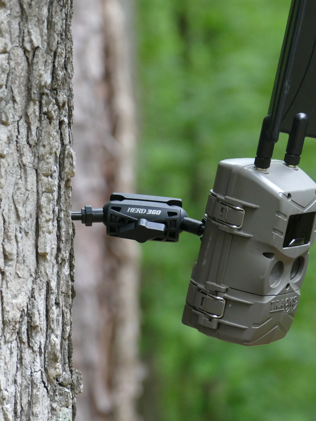 Tree Mount for Trail Camera Dual Ball Swivel