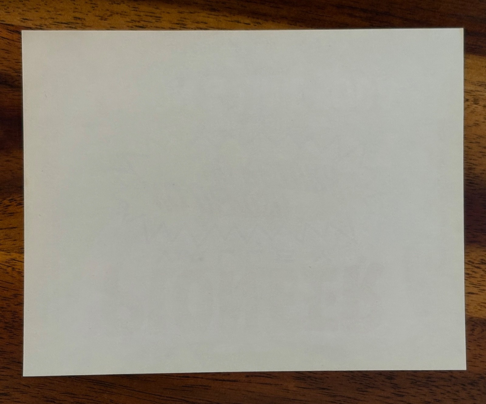 Original Pioneer Valley True Fruit Lemon & Lime Soda Label Northampton Mass New