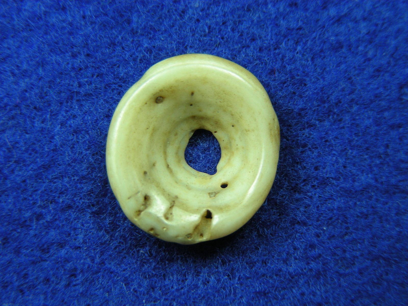 EXCELLENT DRILLED SHELL BEAD 11/16" TENNESSEE Authentic Indian Artifacts