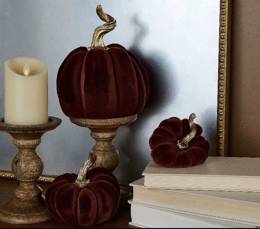 S/3 Flocked Pumpkins with Gold Stems Sienna by Valerie