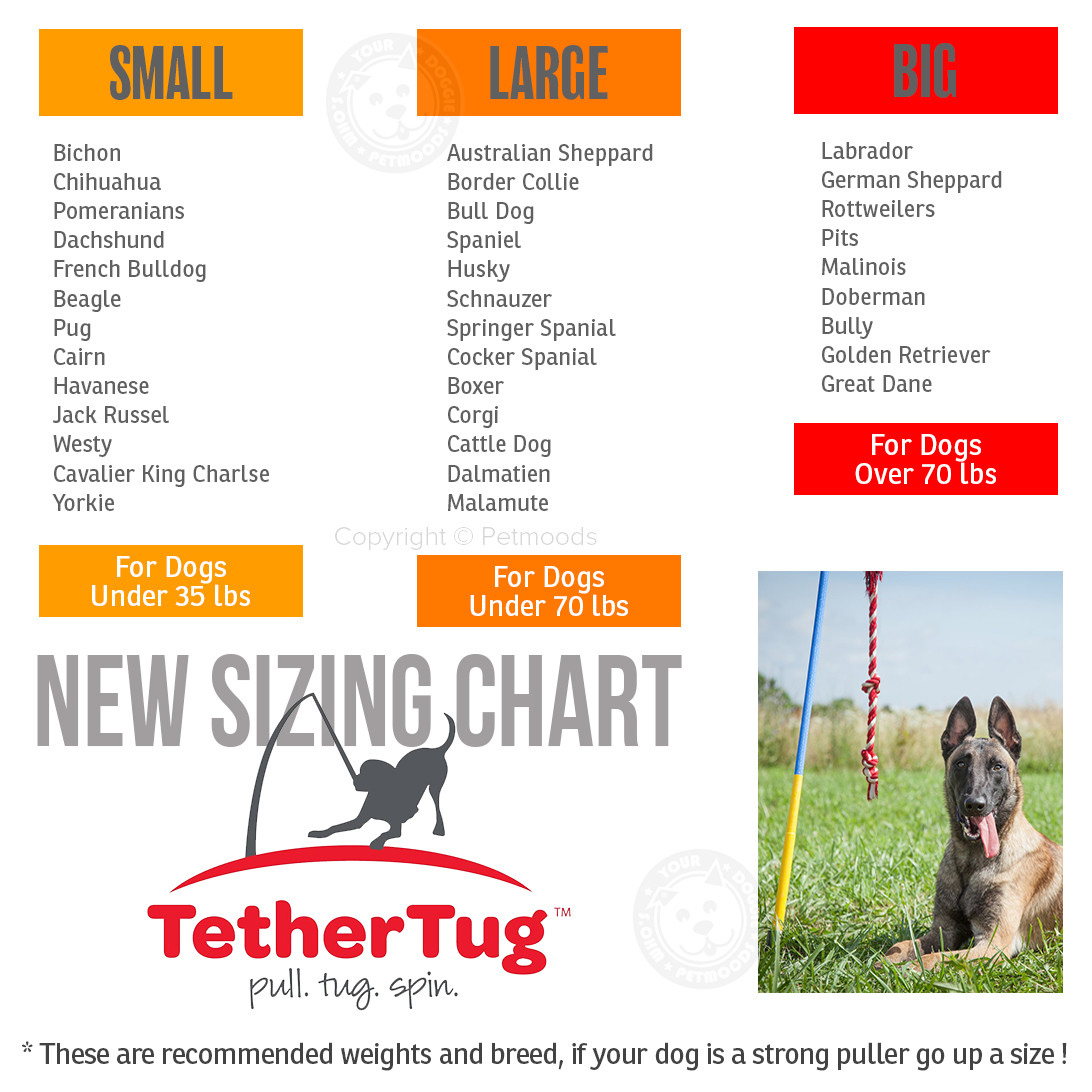 Tether Tug V2 Outdoor Dog Interactive Toy Tugging Pull Exercise 5-70 lbs and Up