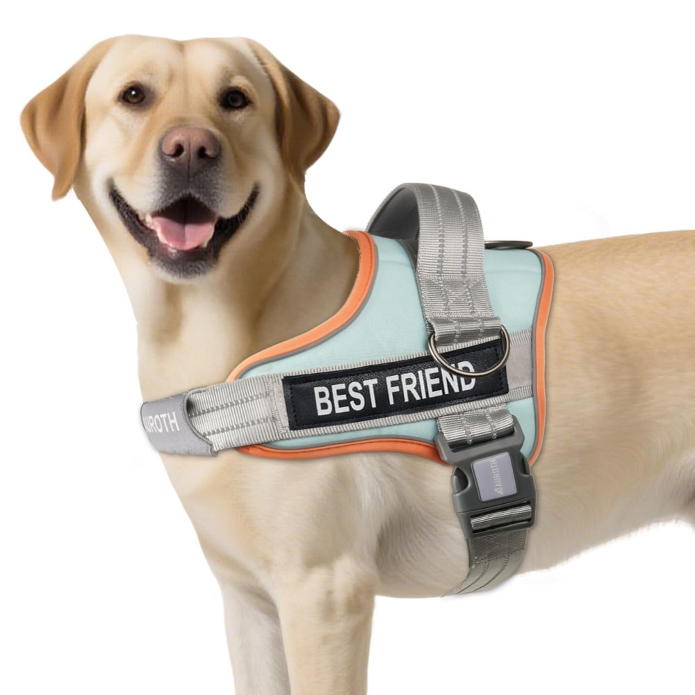 AUROTH Dog Harness No Pull Soft Padded Medium, Single Harness-Macaron Blue