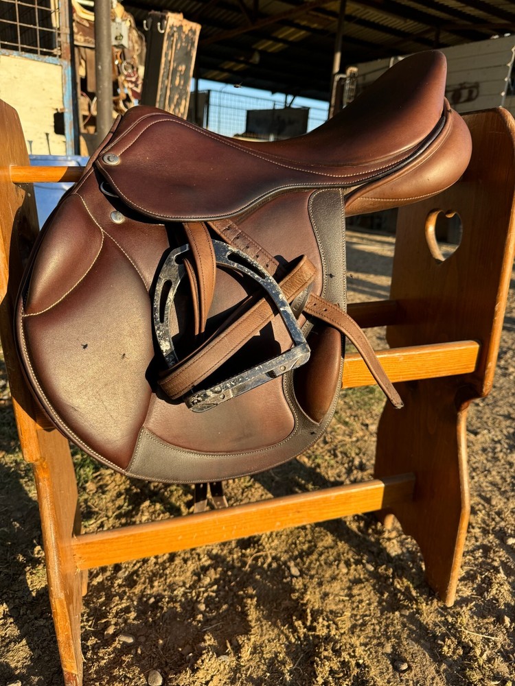 Collegiate Degree Mono Event Saddle