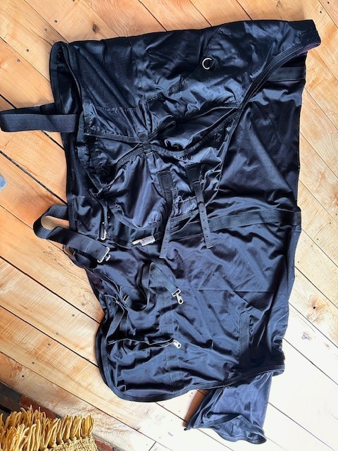 Back on track sheet horse sheet