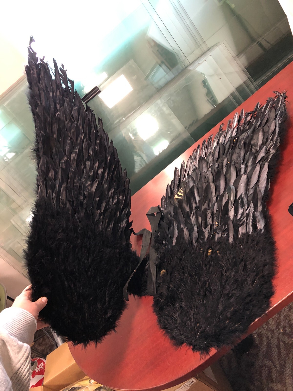 Touch of Nature Black Adult Angel Wings 52" by 36"