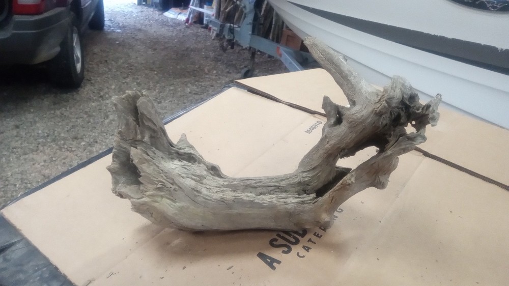 Driftwood Bridge