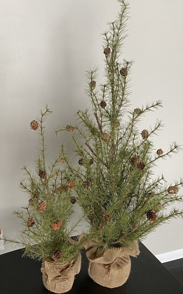 2 Rustic Farmhouse Feathered Pine CHRISTMAS TREES WITH PINE CONES Burlap Base