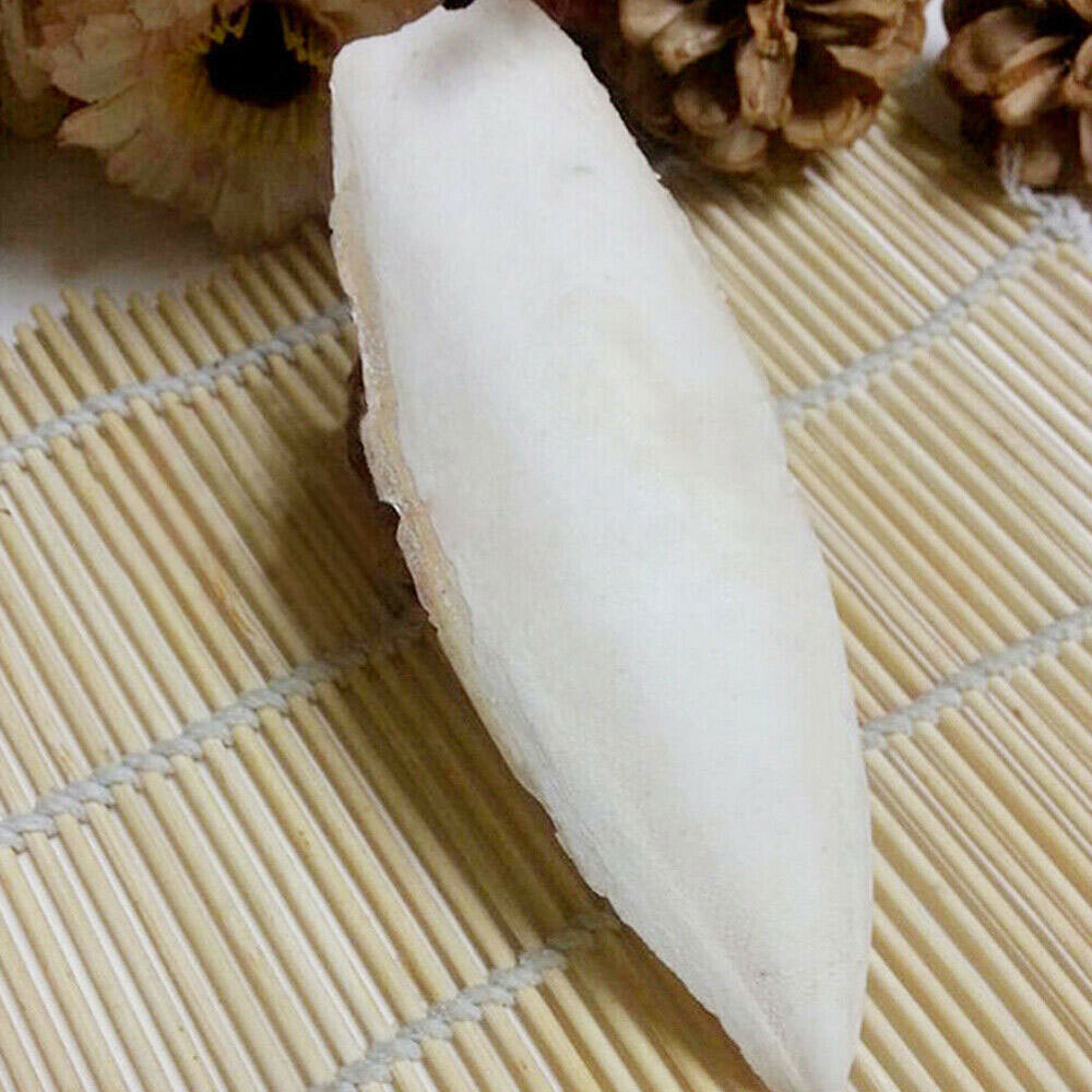 20 PCS Cuttlebone for Birds Parrot Chewing Cuttle Bone for Sharp Beaks USAA+