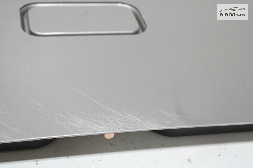 2018-2024 FREIGHTLINER CASCADIA REAR RIGHT SLEEPER DOOR PANEL W/ HINGE OEM
