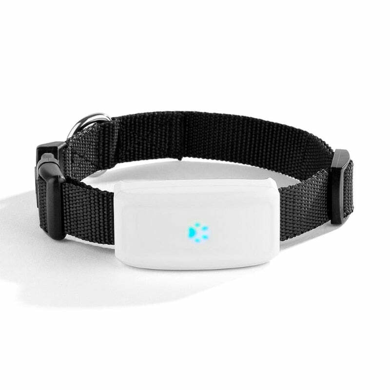 Waterproof GPS Dog Collar