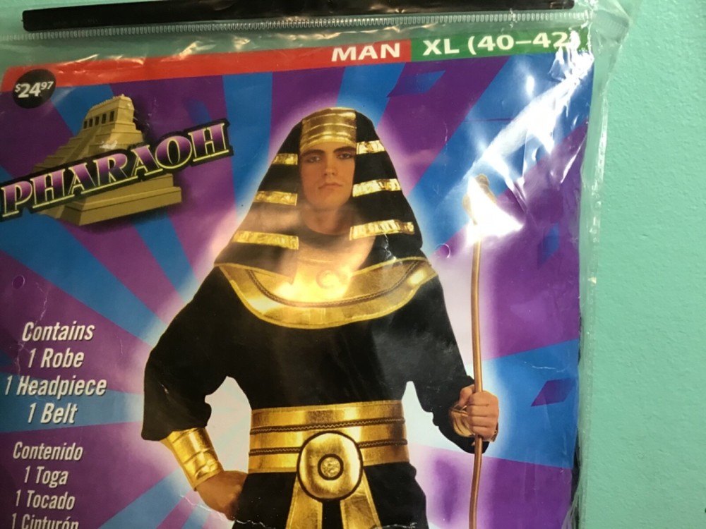 Rubie’s Pharaoh Costume Halloween XL