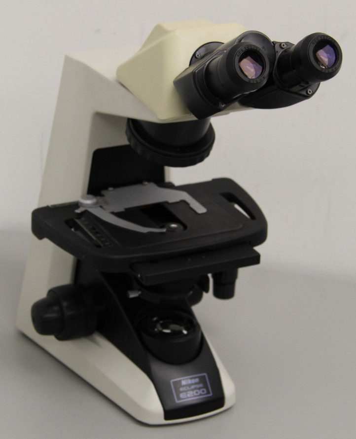 Nikon Eclipse E200 Microscope With Nikon E2-TB Viewing Head And No Objectives