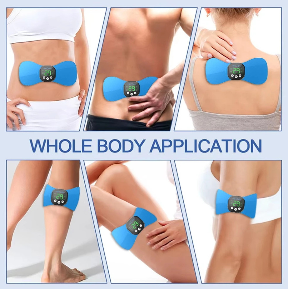 EMS Natural Back Comfort and Support