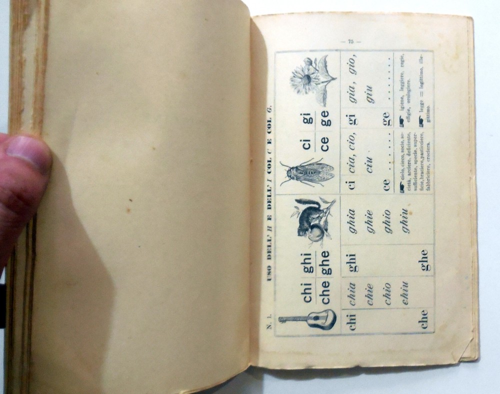 SPELLING TEACHING ELEMENTARY CLASSES ILLUSTRATED SCREEN