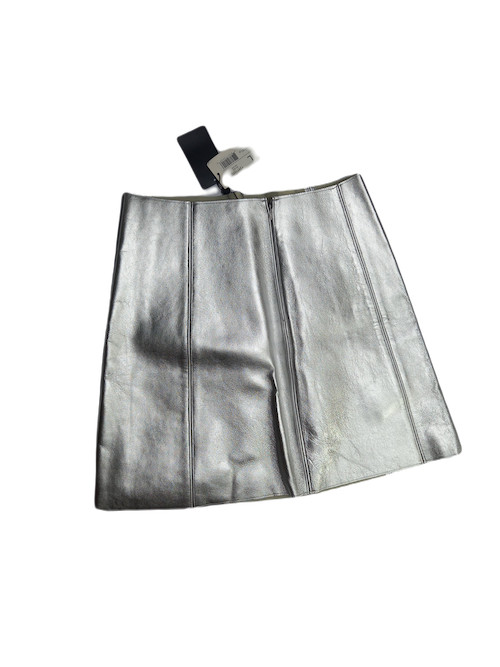 Sliver Mini Skirt